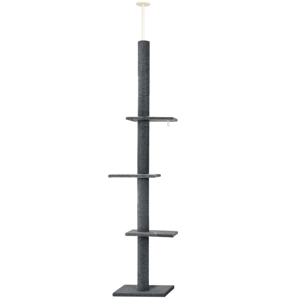 PET-CAT-POLE-GR-89852-00.jpg