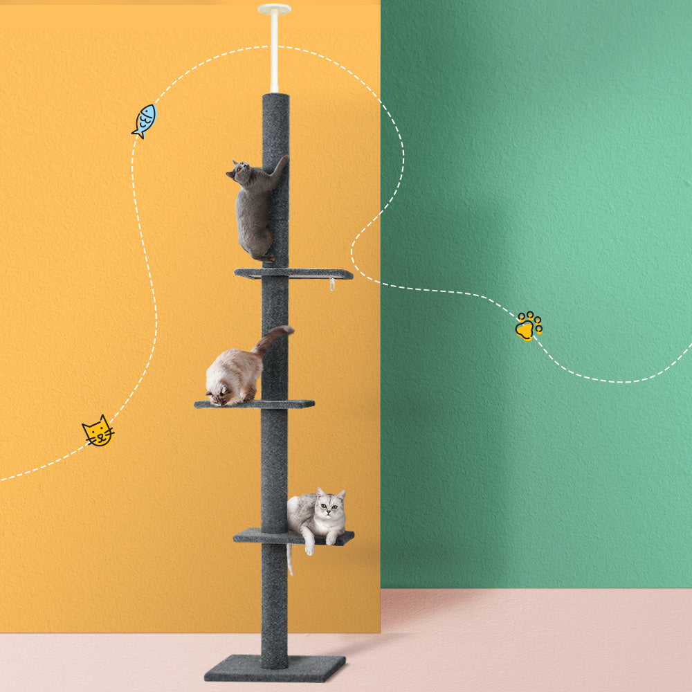 PET-CAT-POLE-GR-89852-04.jpg