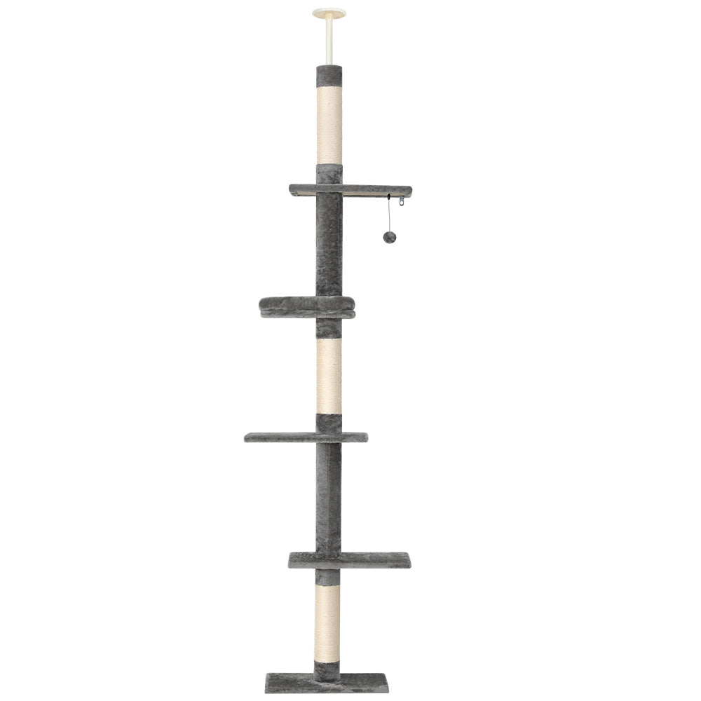 PET-CAT-POLE-GRWH-89867-00.jpg
