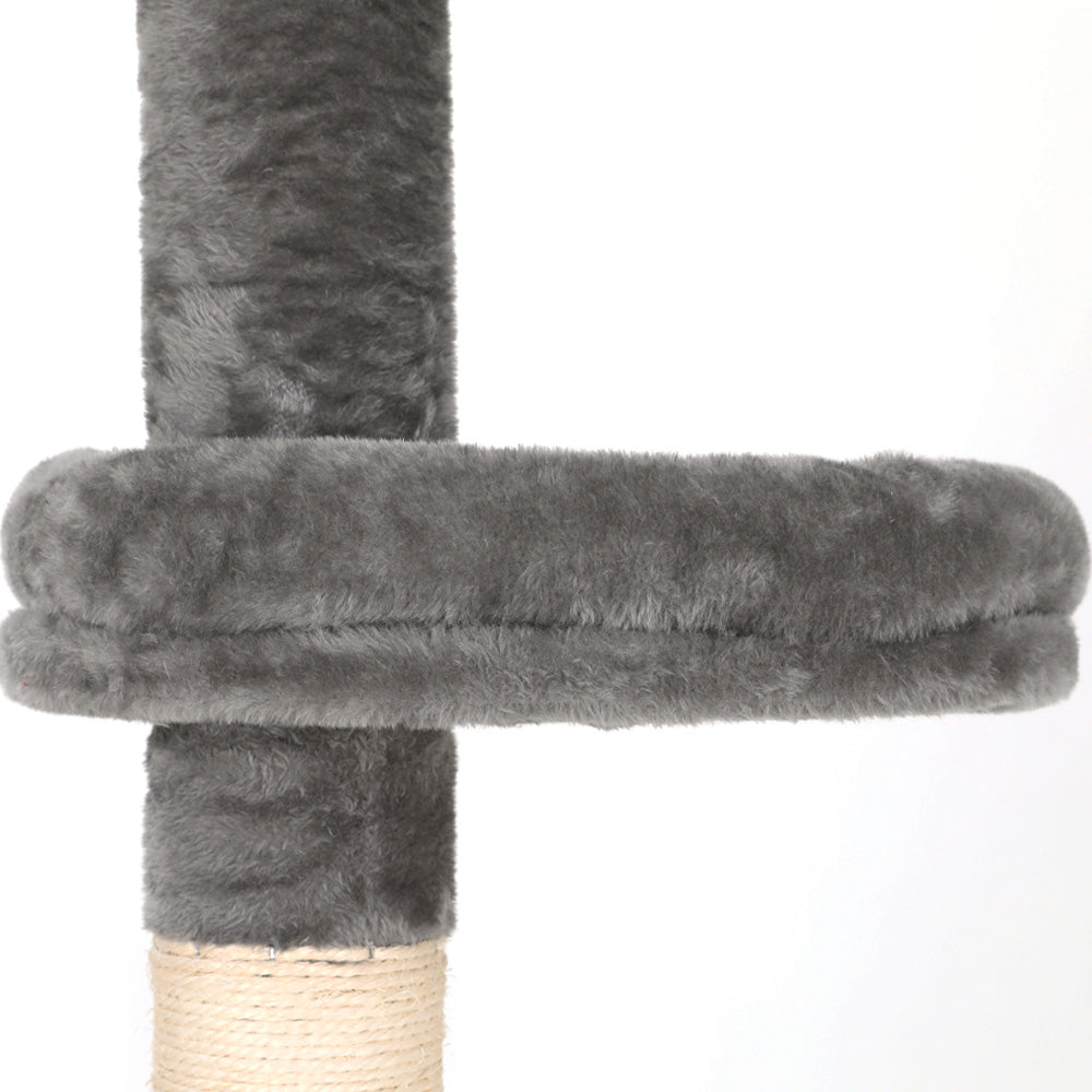 PET-CAT-POLE-GRWH-89867-02.jpg