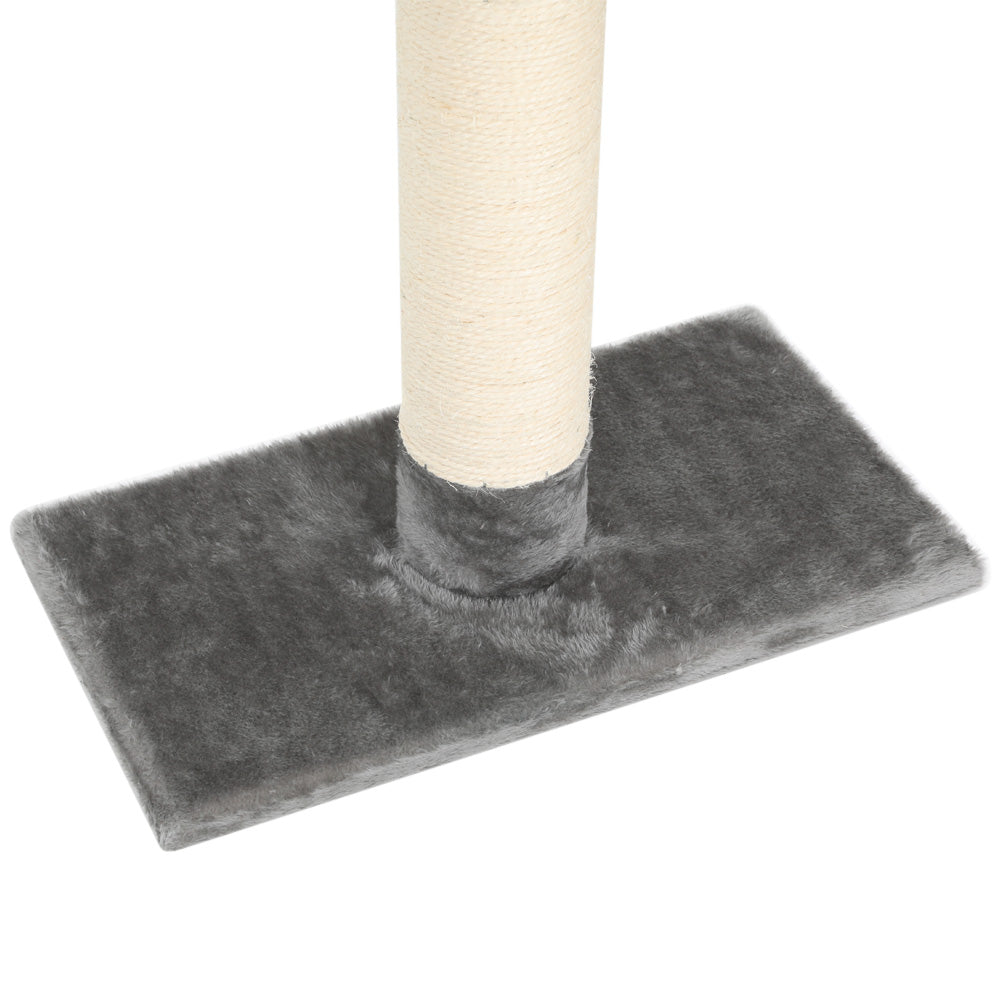 PET-CAT-POLE-GRWH-89867-03.jpg
