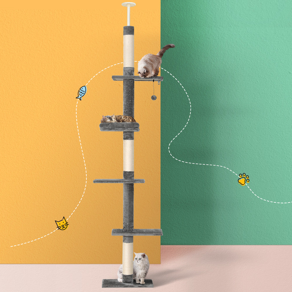 PET-CAT-POLE-GRWH-89867-04.jpg