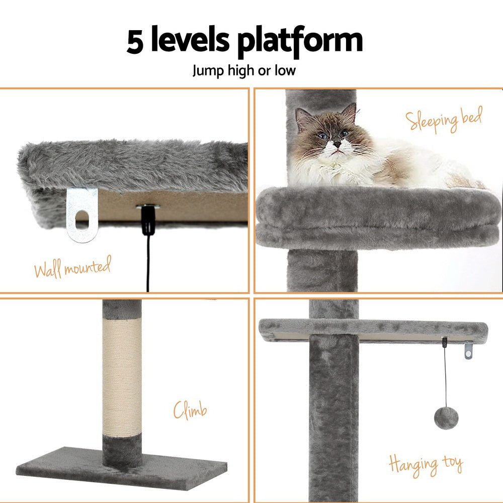 PET-CAT-POLE-GRWH-89867-06.jpg
