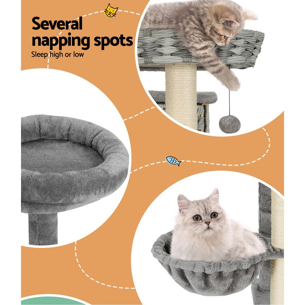 PET-CAT-RATTAN02-GR-139206-04.jpg