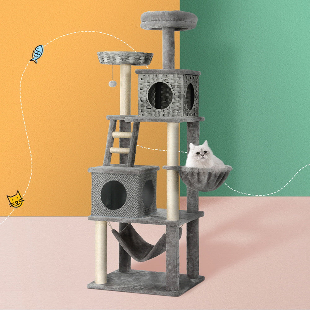 PET-CAT-RATTAN02-GR-139206-06.jpg