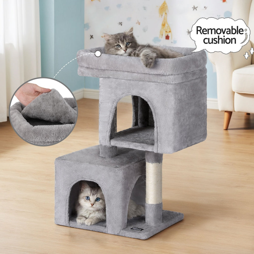 PET-CAT-S67-LTGR-202506191533-04.jpg