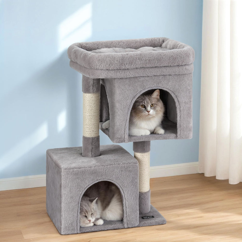 PET-CAT-S67-LTGR-202506191533-06.jpg