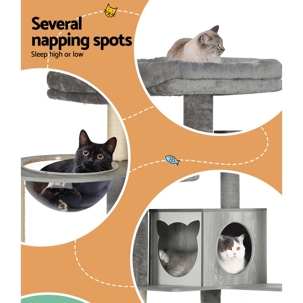 PET-CAT-WOOD03-GR-AB-139205-04.jpg