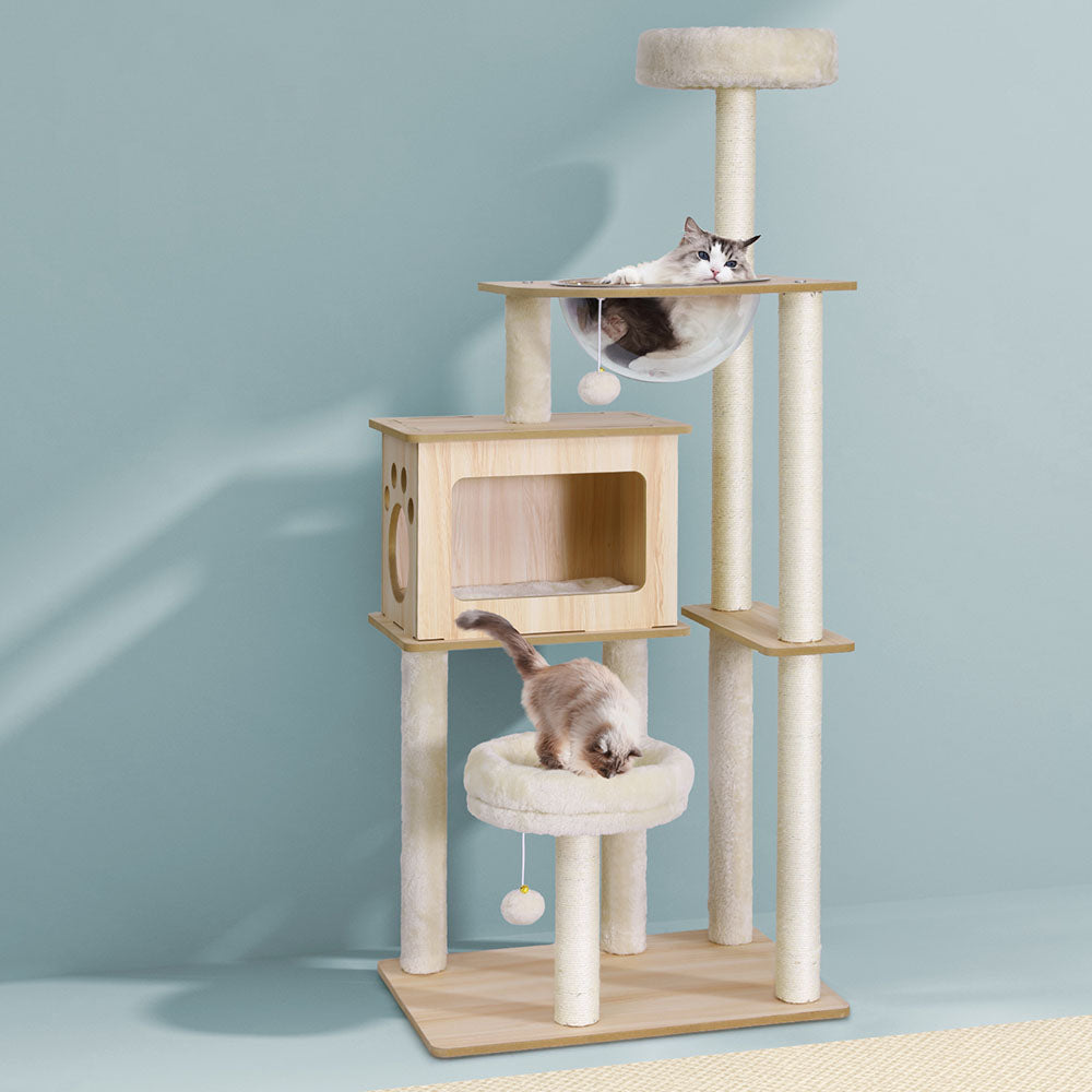PET-CAT-WOOD142-BE-191761-05.jpg