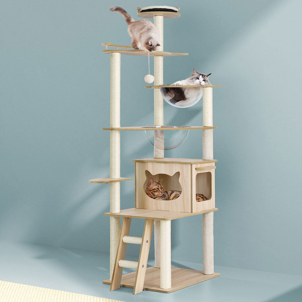PET-CAT-WOOD174-BE-189937-05.jpg