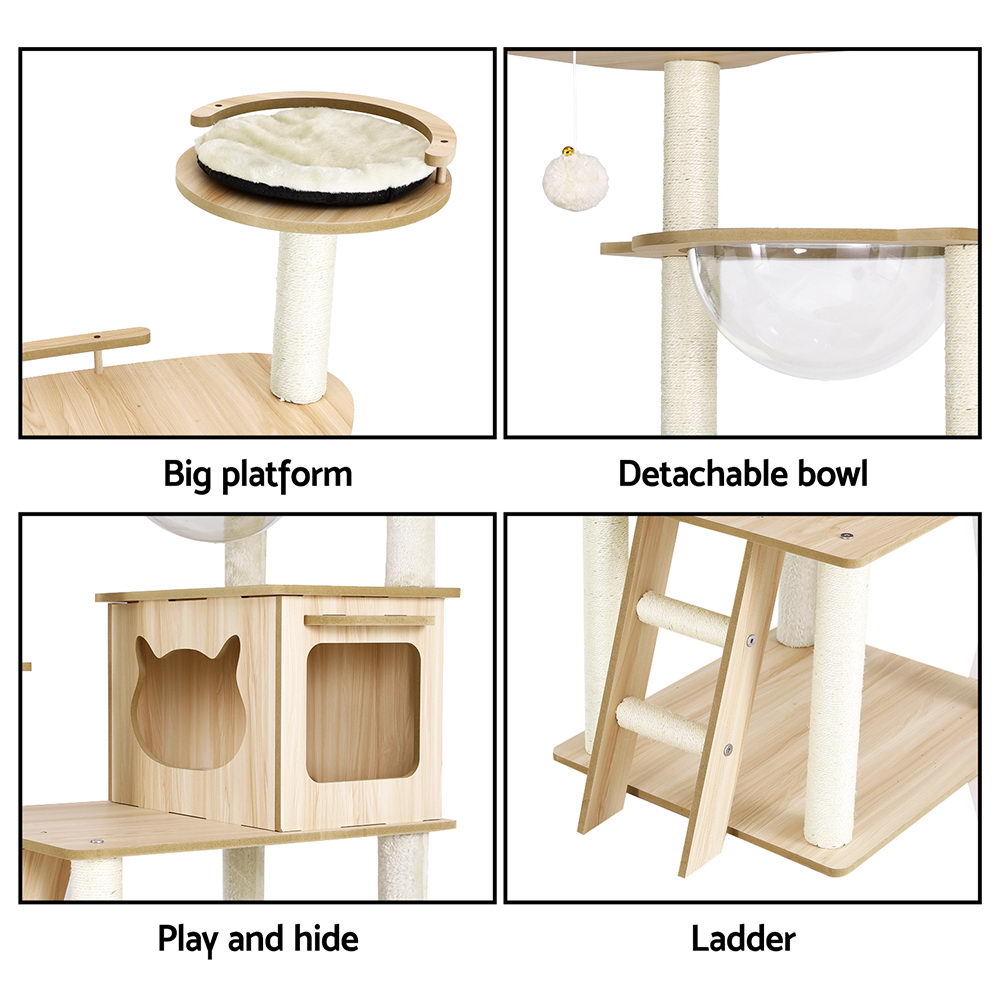 PET-CAT-WOOD174-BE-202502281810-00.jpg
