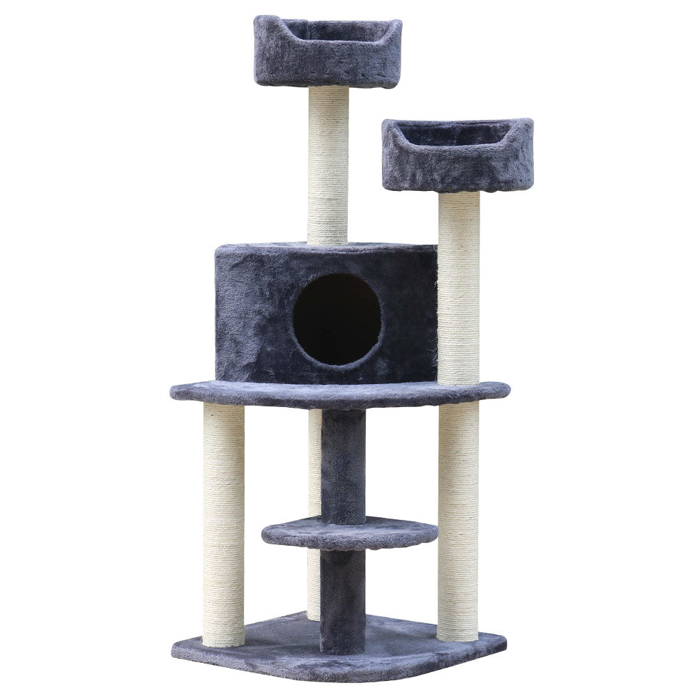 PET-CAT-WT01-GR-7615-00.jpg