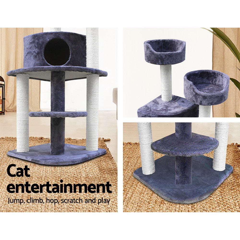PET-CAT-WT01-GR-7615-04.jpg