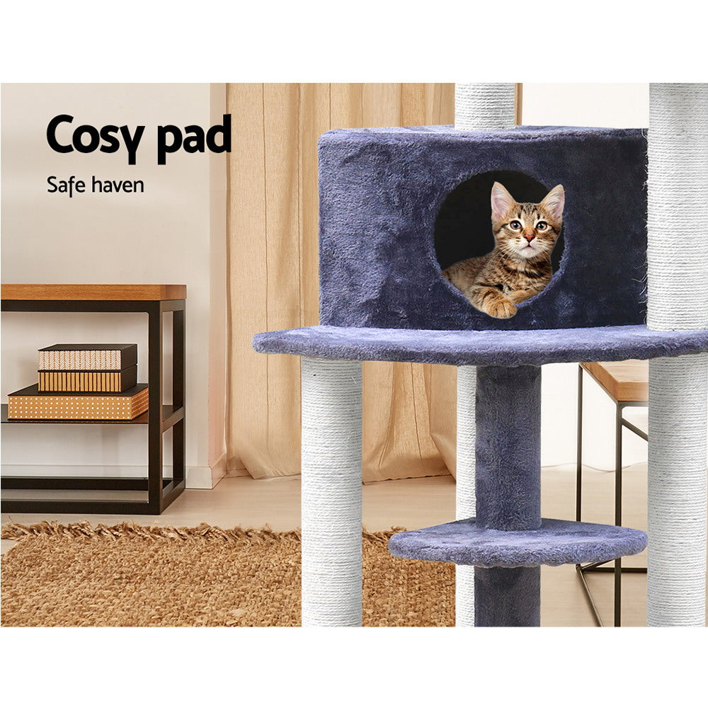 PET-CAT-WT01-GR-7615-05.jpg