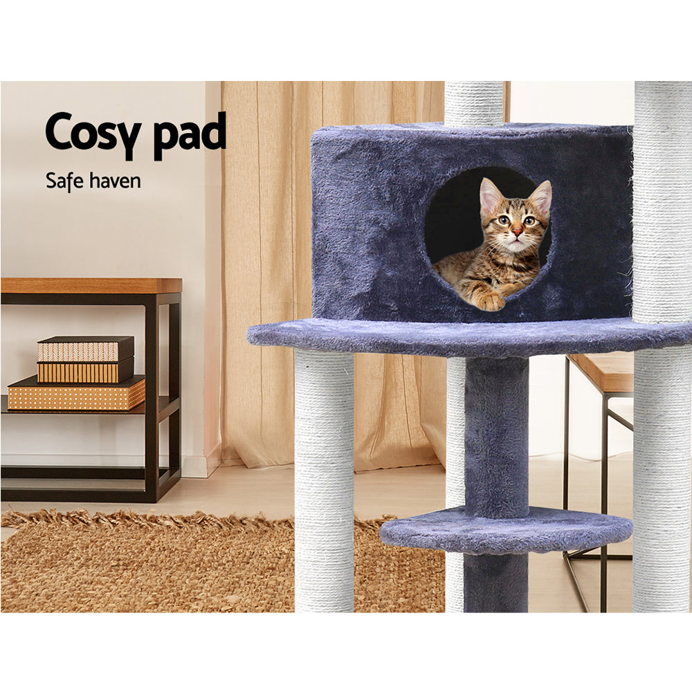PET-CAT-WT01-GR-7615-06.jpg