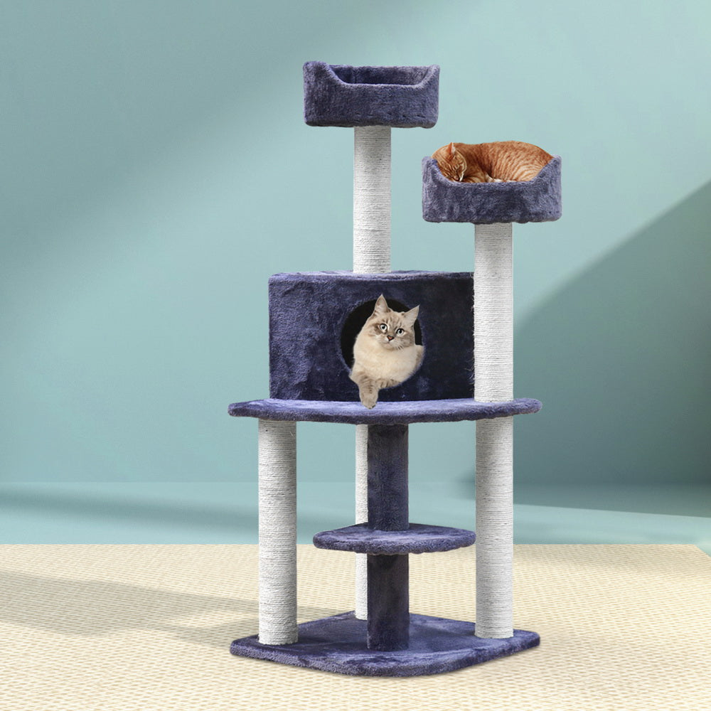 PET-CAT-WT01-GR-7615-07.jpg