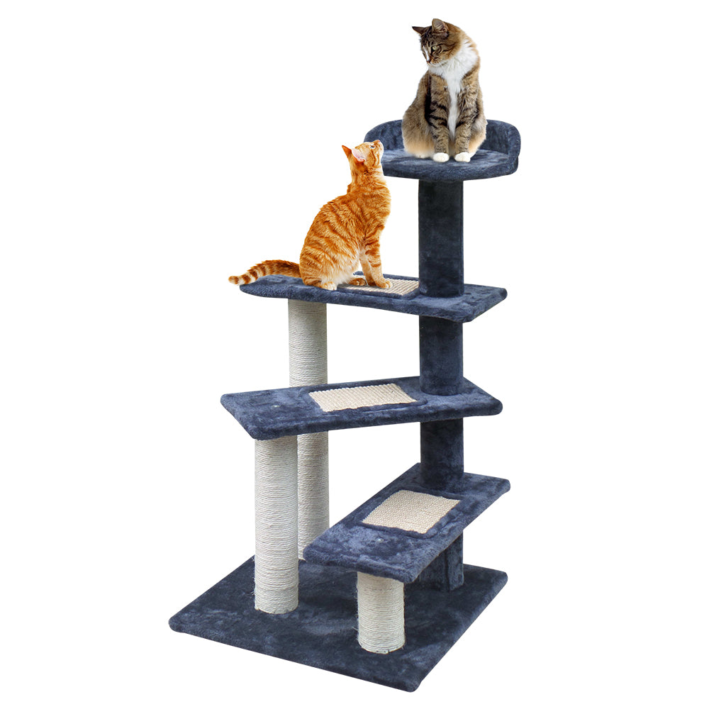 PET-CAT-WT02-GR-7614-00.jpg