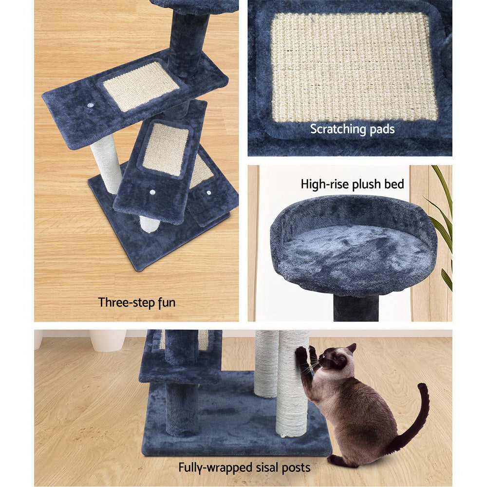 PET-CAT-WT02-GR-7614-04.jpg