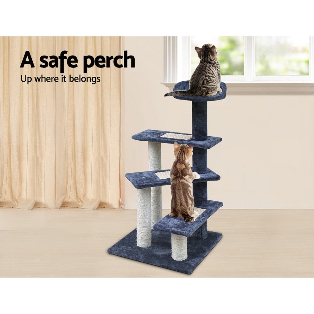 PET-CAT-WT02-GR-7614-05.jpg