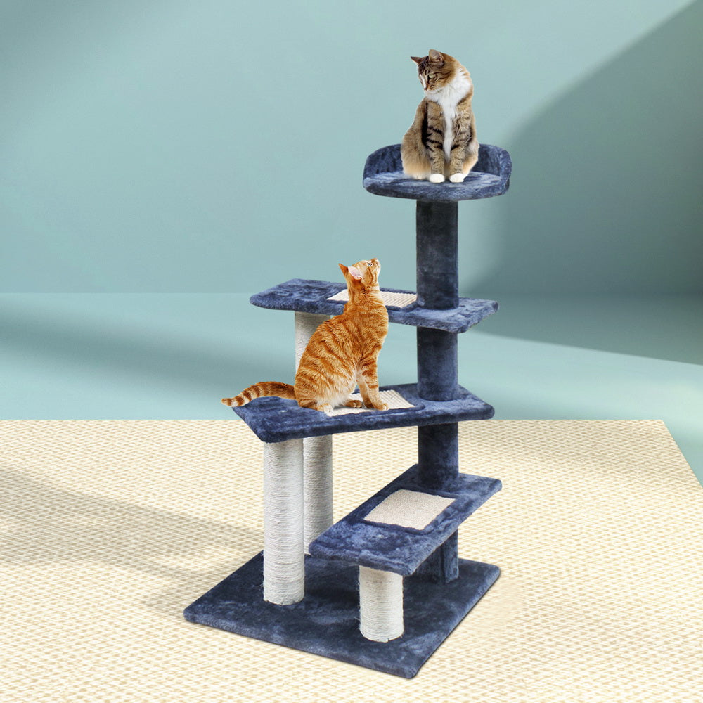 PET-CAT-WT02-GR-7614-07.jpg