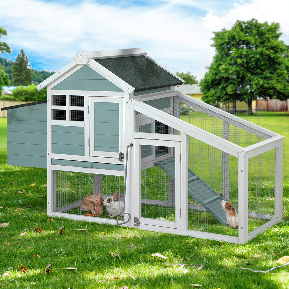 PET-CH-100-GW-202502281810-00.jpg