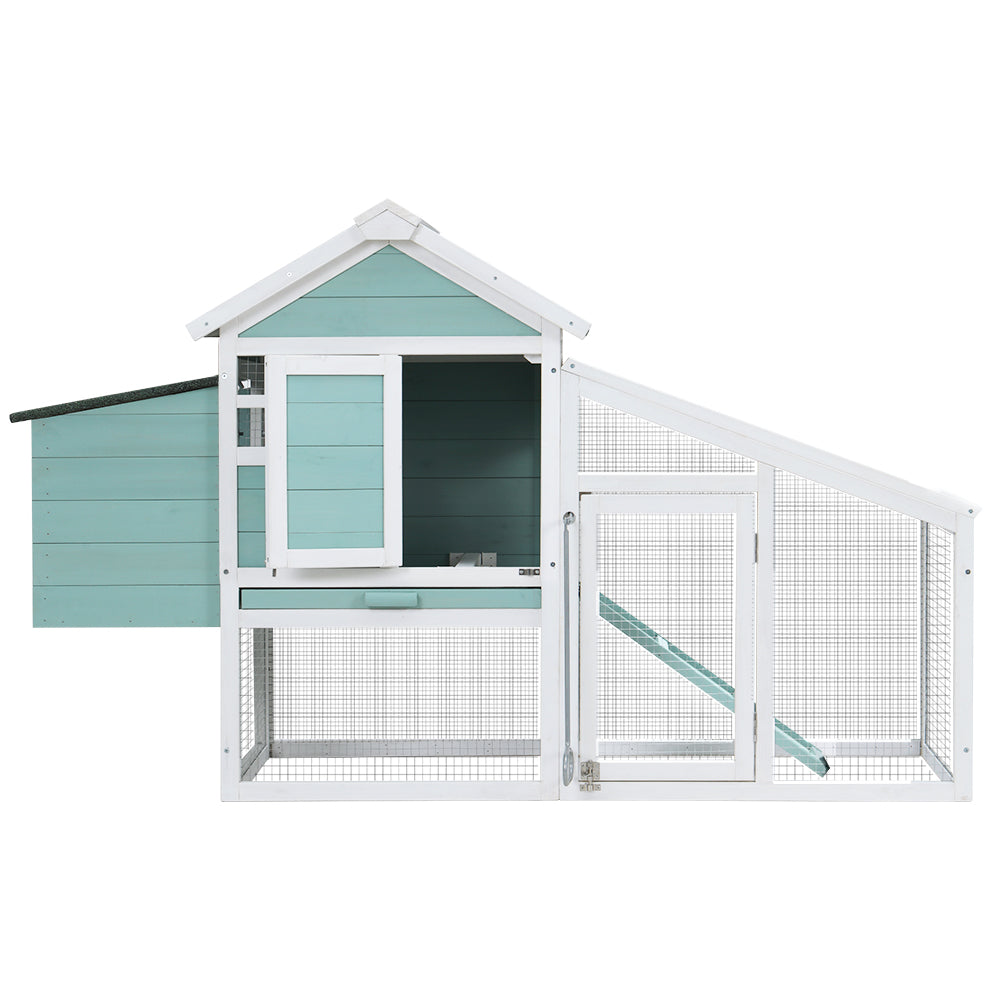 PET-CH-100-GW-202502281810-02.jpg