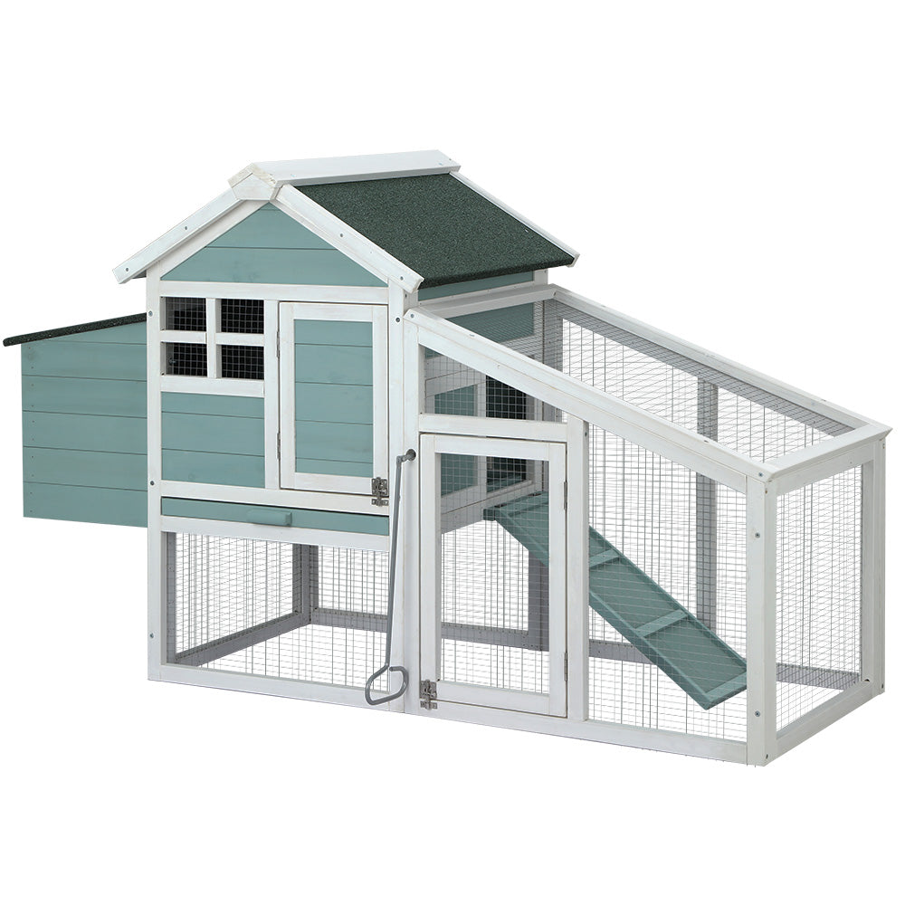 PET-CH-100-GW-202502281810-07.jpg