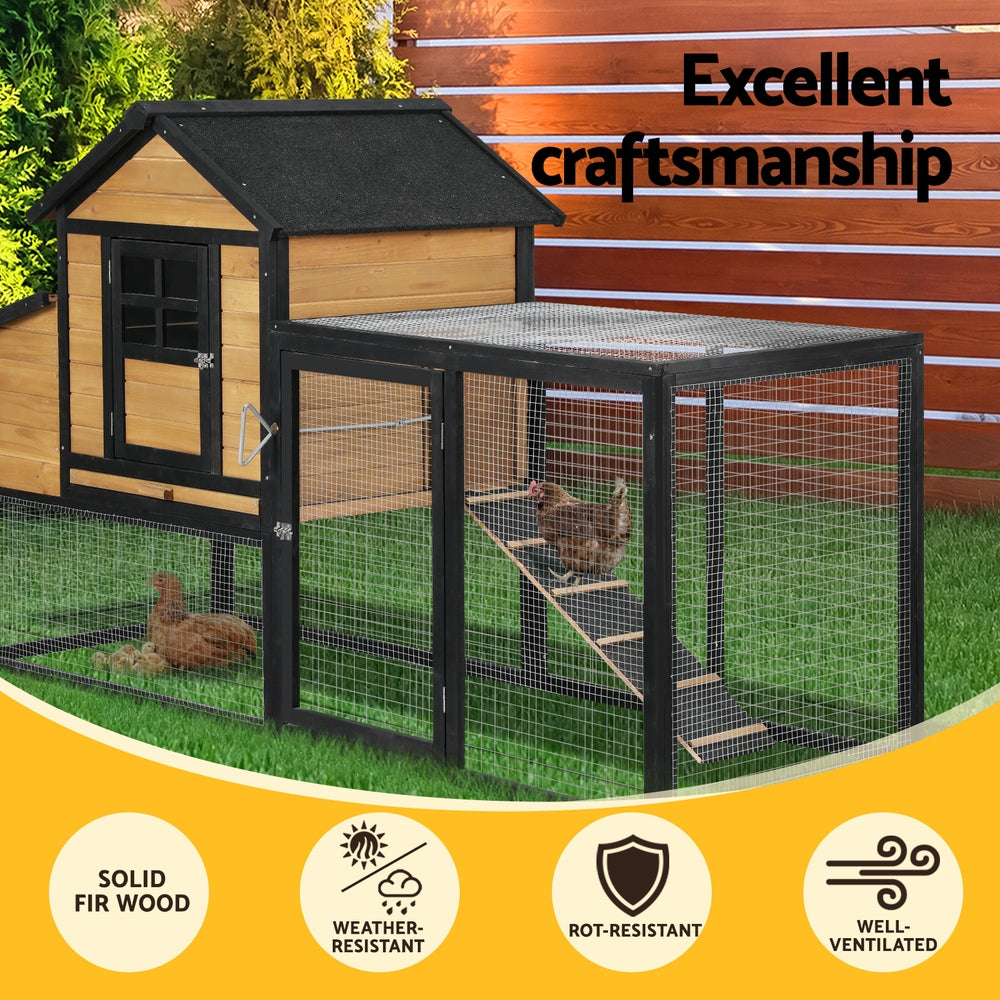 PET-CH-192-BK-AB-189528-03.jpg