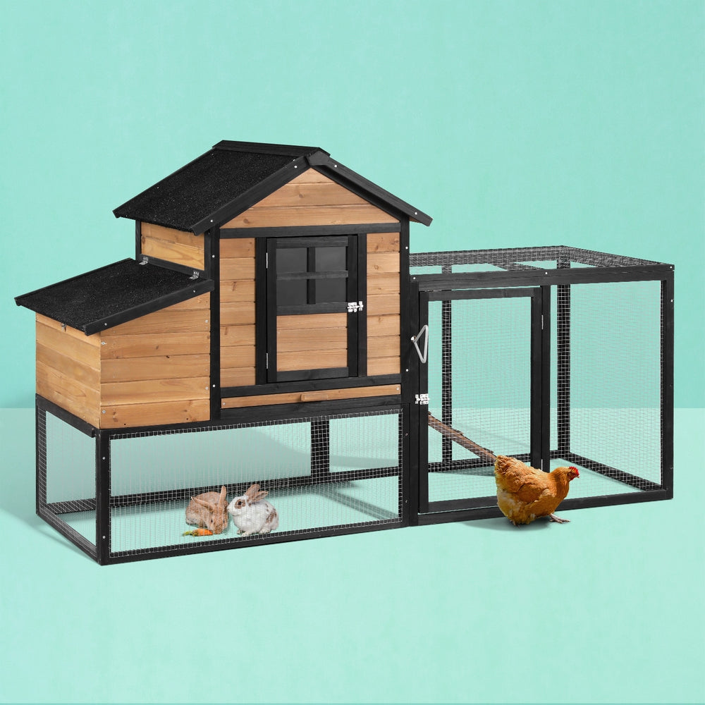 PET-CH-192-BK-AB-189528-06.jpg