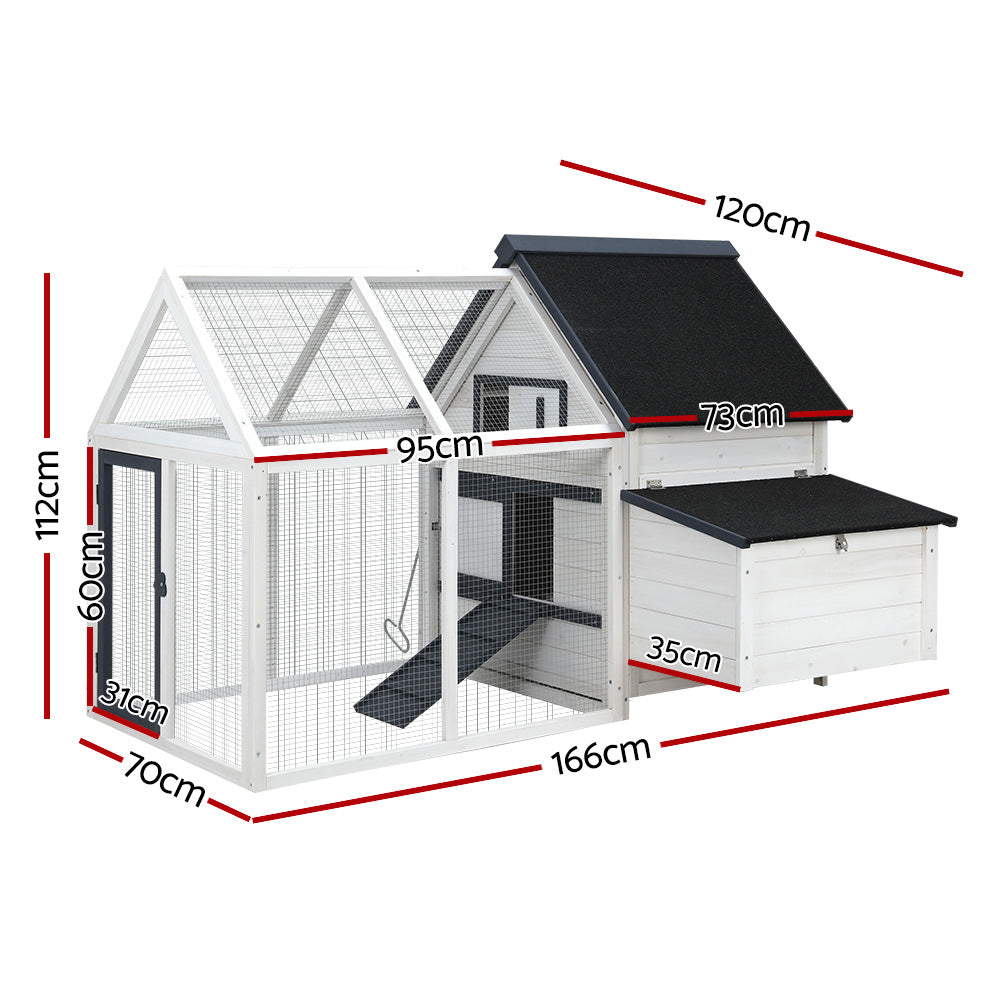 PET-CH-310026-WH-AB-202502281810-01.jpg