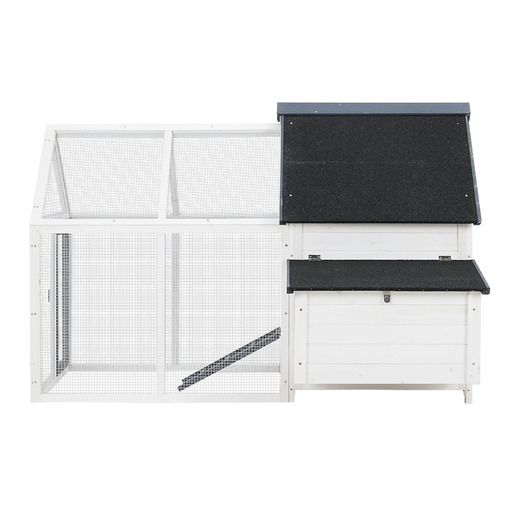 PET-CH-310026-WH-AB-202502281810-02.jpg