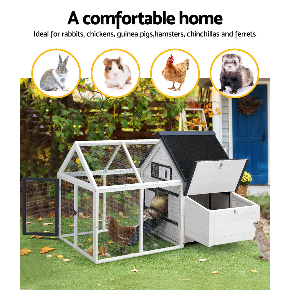 PET-CH-310026-WH-AB-202502281810-03.jpg