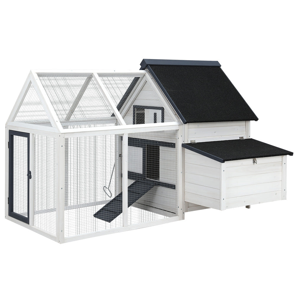PET-CH-310026-WH-AB-202502281810-07.jpg