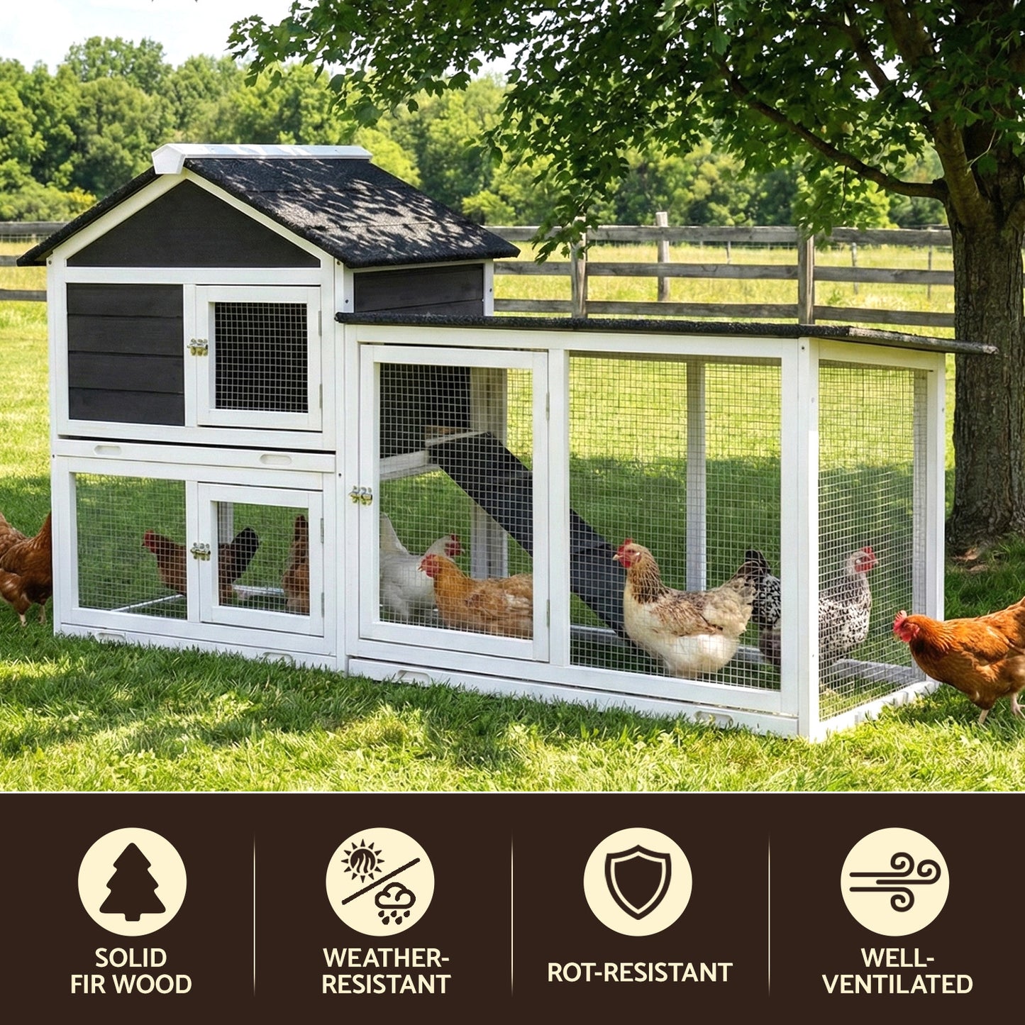 PET-CH-3TRAY-GR-AB-202603111542-03.jpg