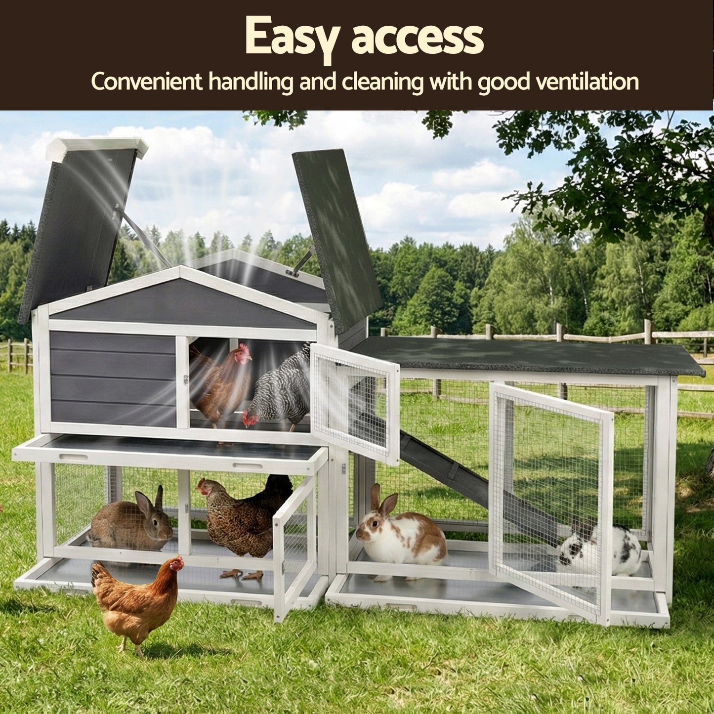 PET-CH-3TRAY-GR-AB-202603111542-06.jpg