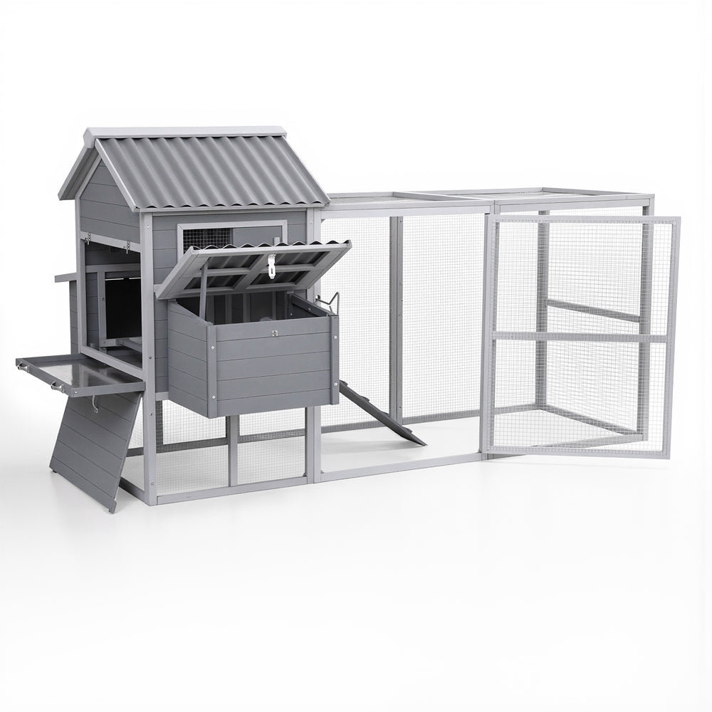PET-CH-P228-GR-AB-202509161310-00.jpg