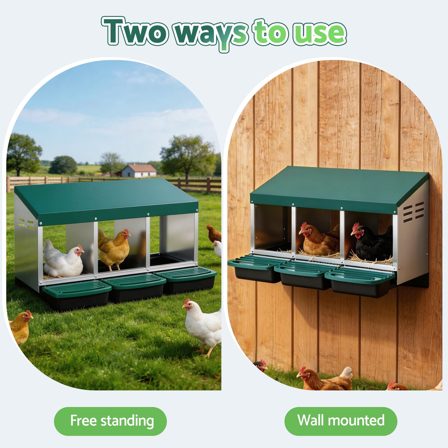 PET-CHICK-BOX-3H-GN-202603121826-03.jpg