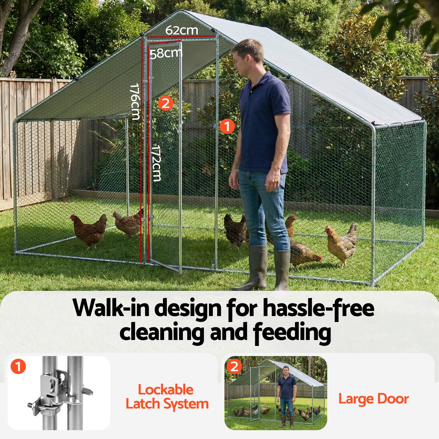 PET-CHICK-CAGE-B-2X3-202602091912-04.jpg