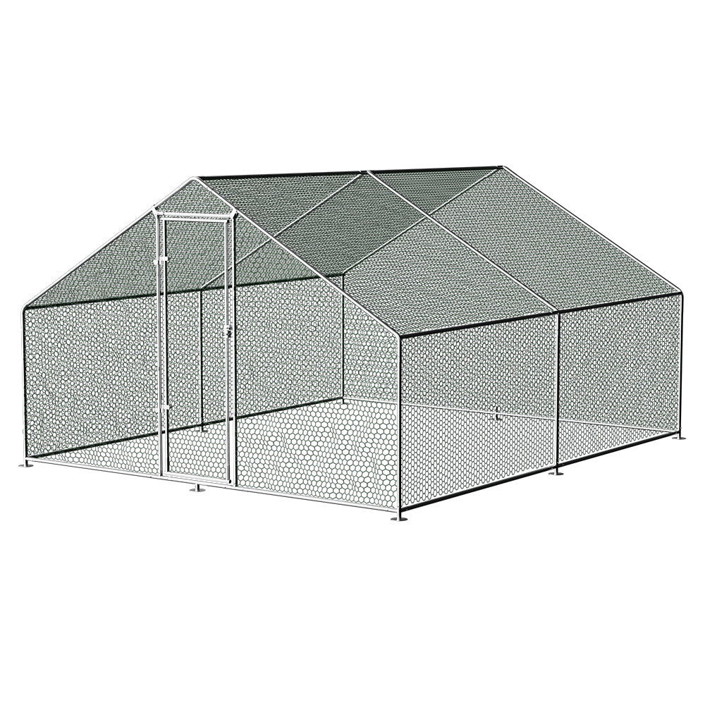 PET-CHICK-CAGE-B-3X4-202502281810-07.jpg