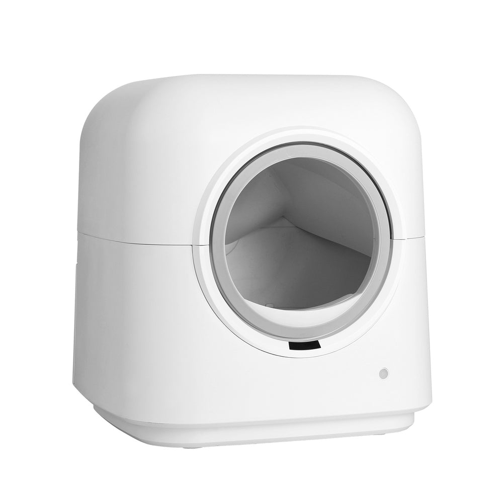 PET-CLB-APP-WH-139391-00.jpg