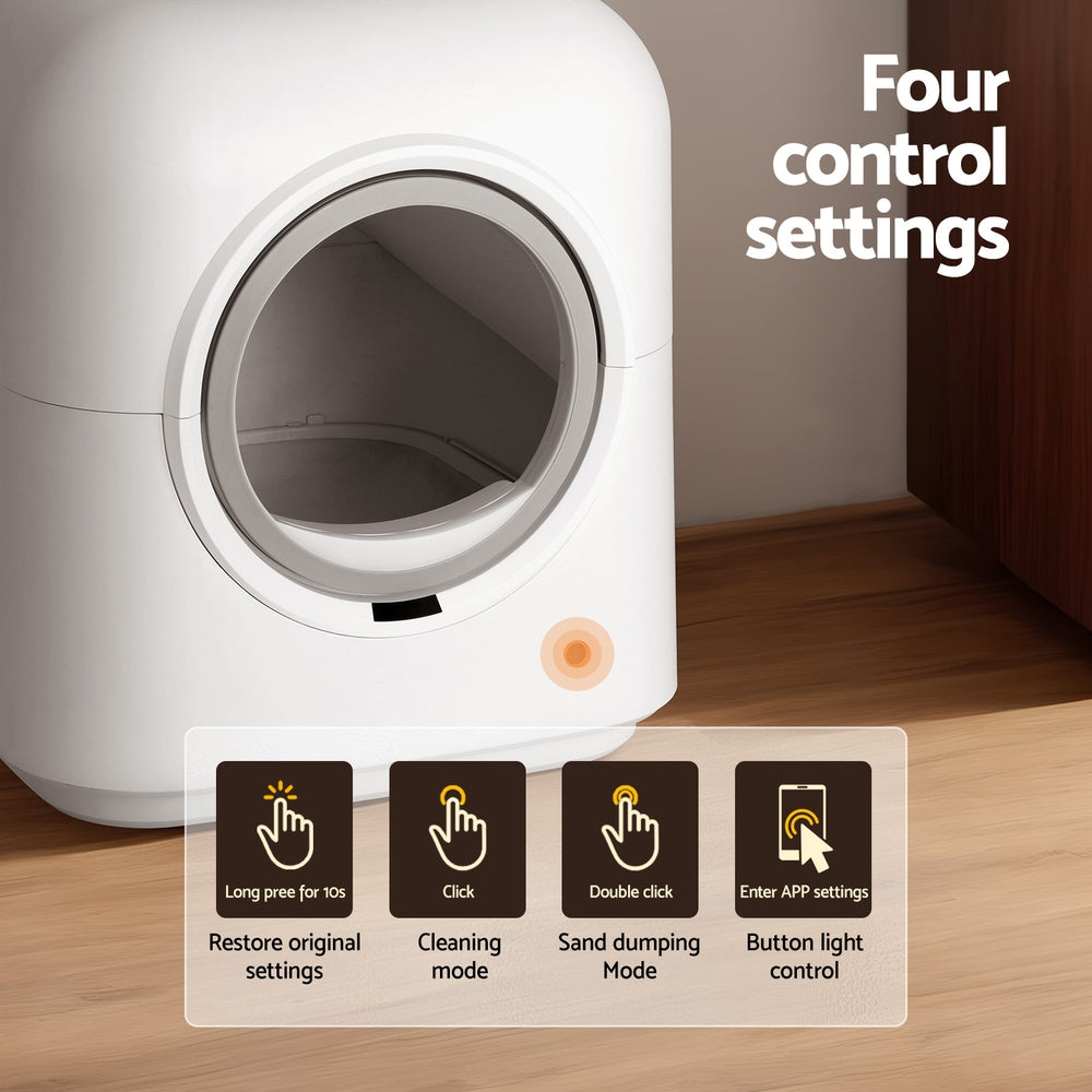 PET-CLB-APP-WH-139391-03.jpg