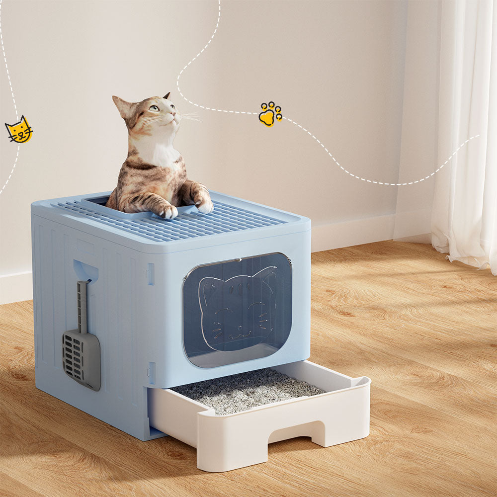 PET-CLB-BL-149276-06.jpg