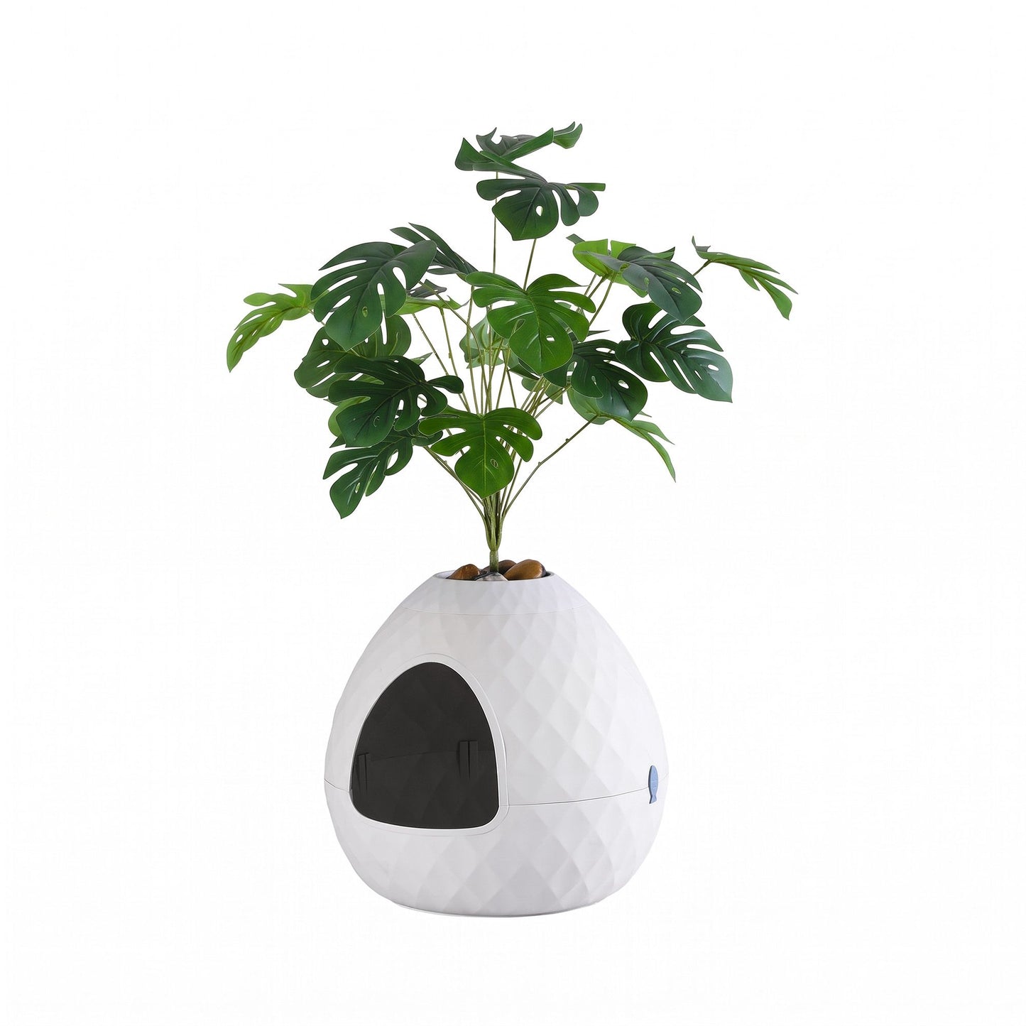 PET-CLB-PLANT-WH-01.jpg