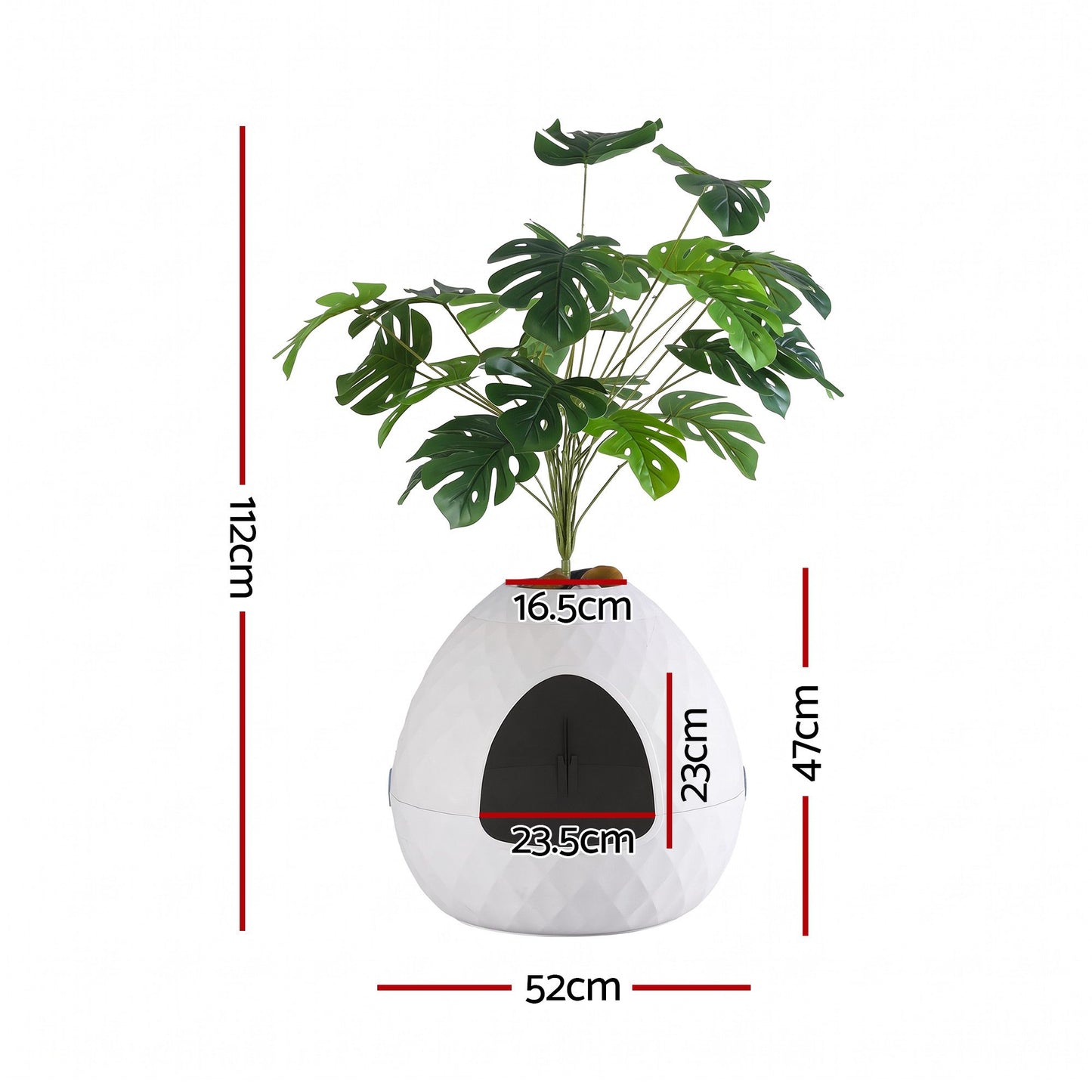 PET-CLB-PLANT-WH-02.jpg