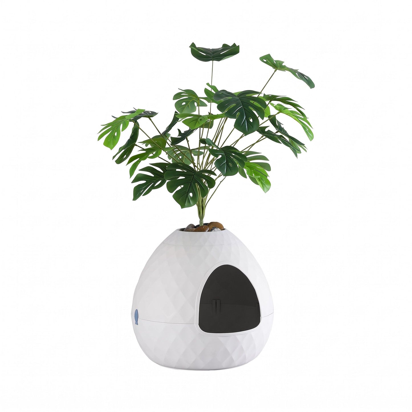 PET-CLB-PLANT-WH-03.jpg