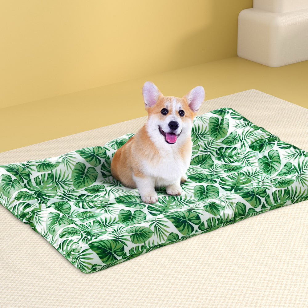 PET-COOL-SIDE-100-GN-183384-06.jpg