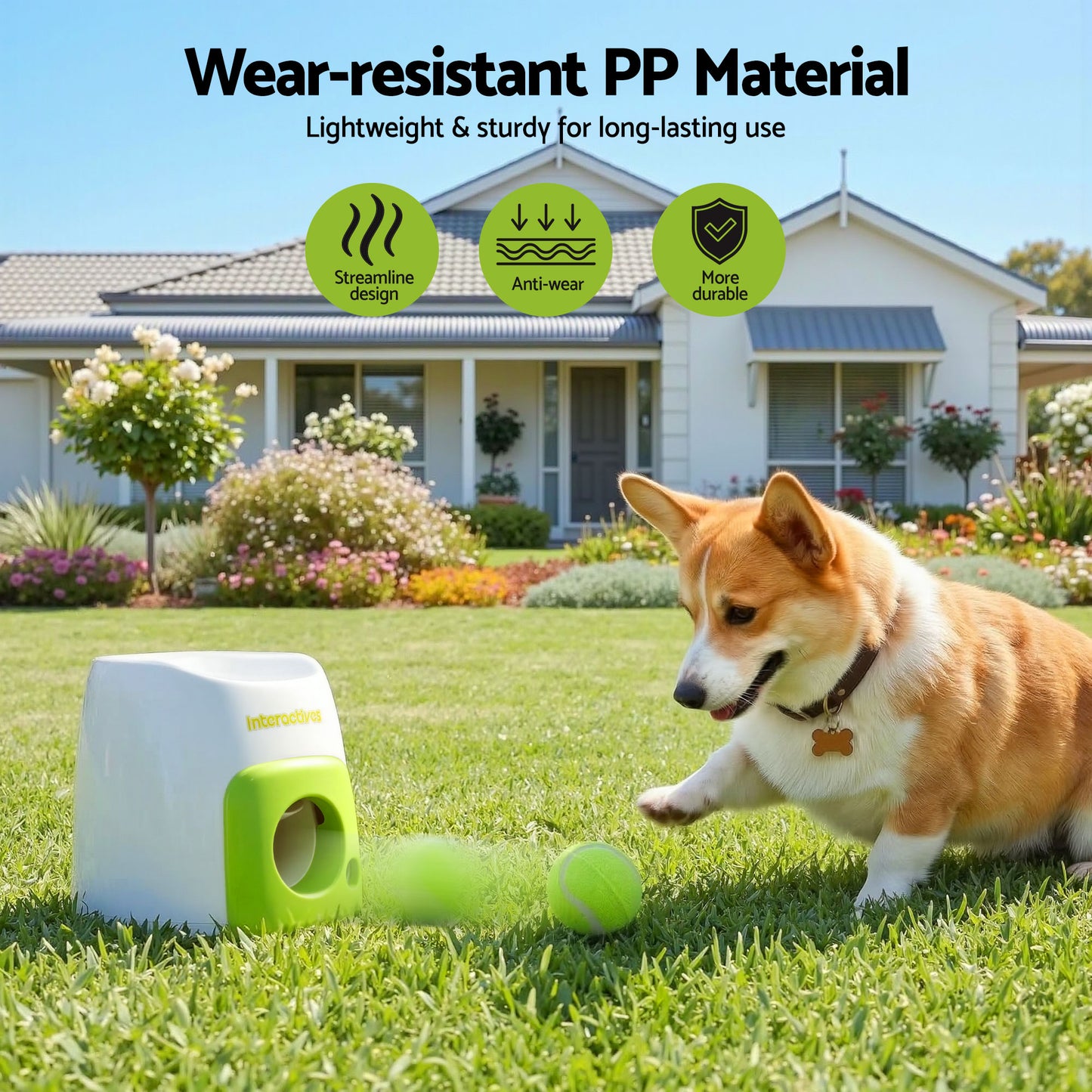 PET-DOG-2BALL-FEED-GN-202603181836-03.jpg