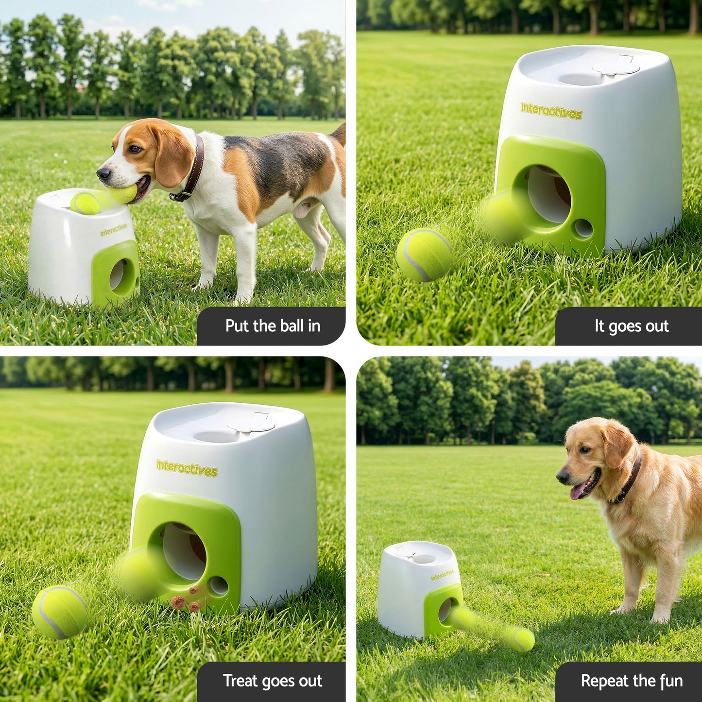 PET-DOG-2BALL-FEED-GN-202603181836-06.jpg