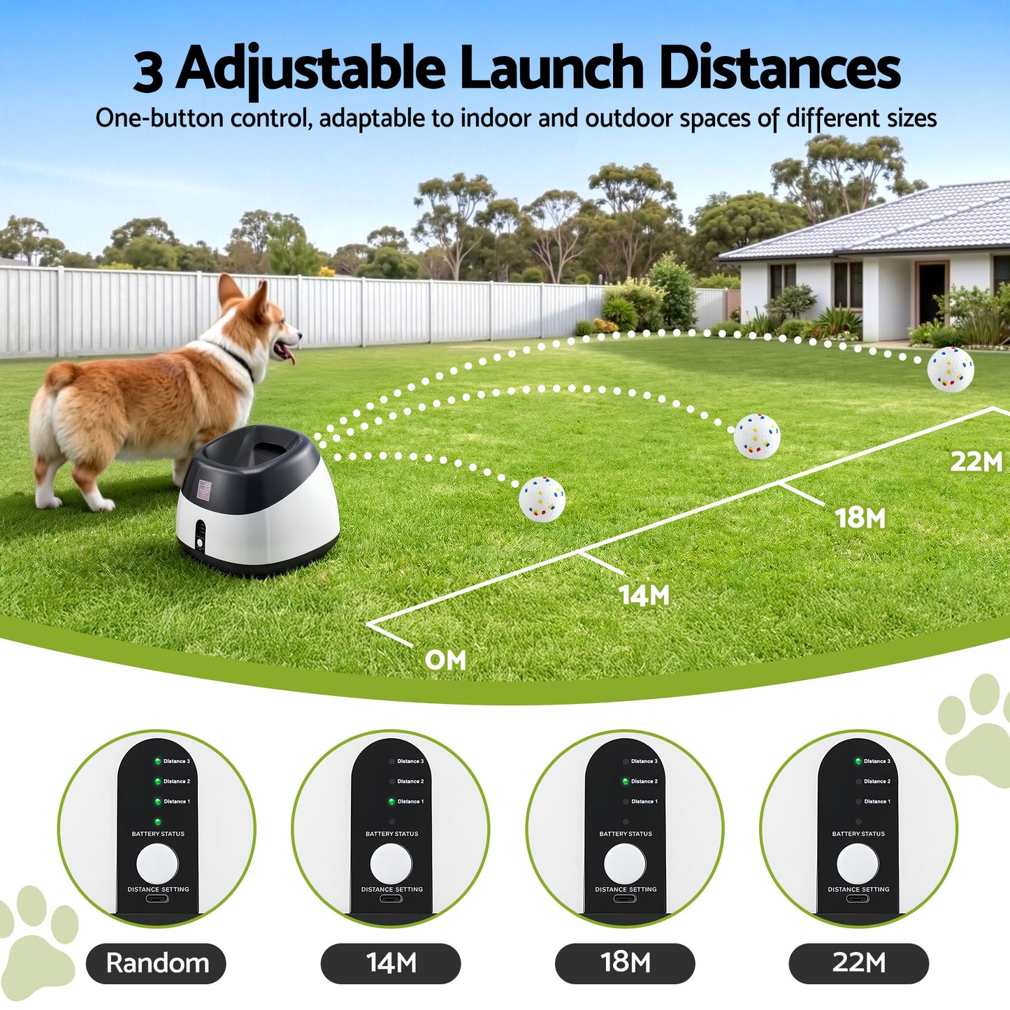 PET-DOG-6BALL-22M-GR-202603181836-03.jpg