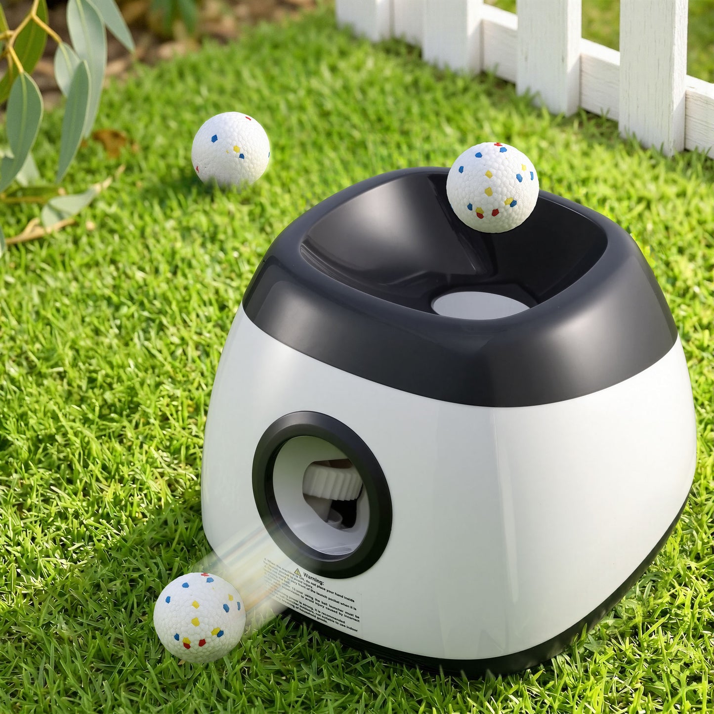 PET-DOG-6BALL-22M-GR-202603181836-09.jpg